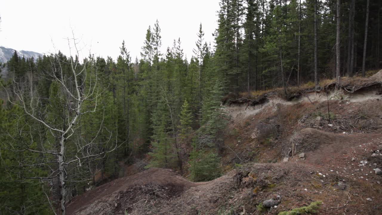 Biker jumps in the forest