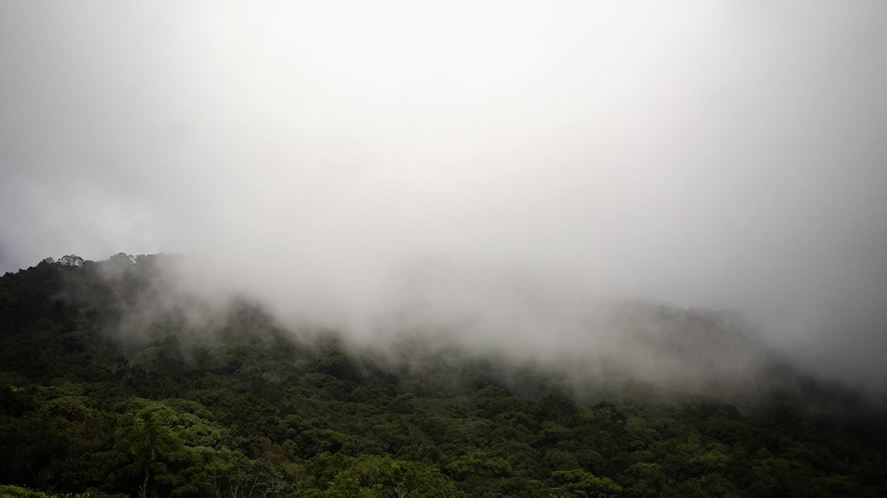 푸른 숲으로 인 산꼭대기 위를 지나가는 구름