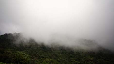 clouds passing over the green forested mountain peaks