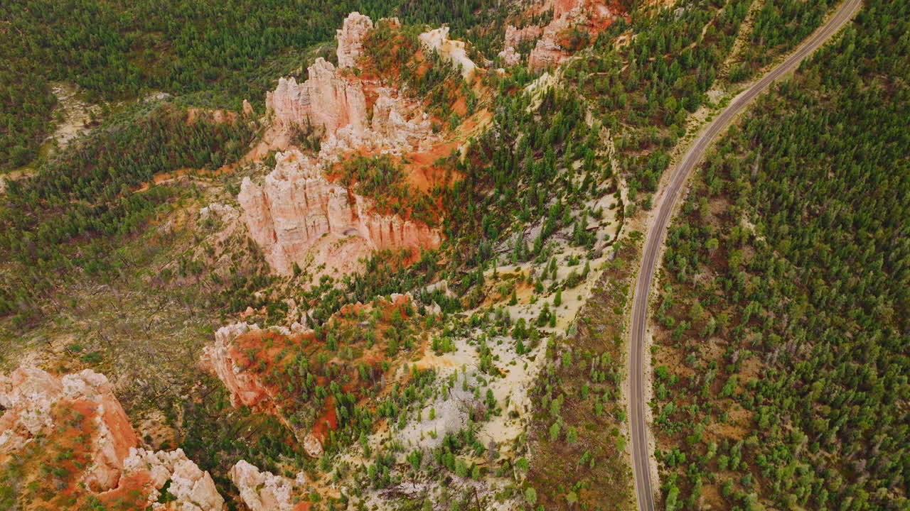 Green pine trees growing on the rocks of American National Park in Utah. Drone flight over the highway through canyons.