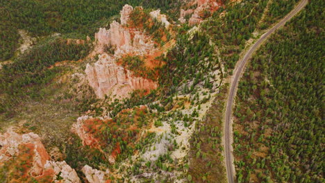 green pine trees growing on the rocks of american national park in utah. drone flight over the highway through canyons.