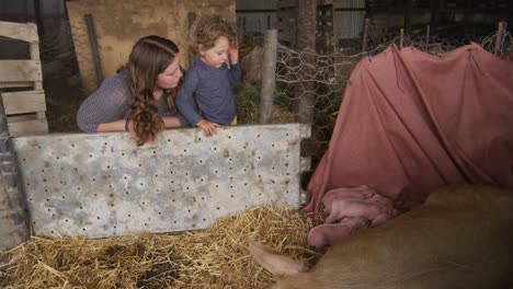 Glückliche-Kaukasische-Mutter-Und-Sohn,-Die-Schweine-Beim-Füttern-Von-Ferkeln-Betrachten