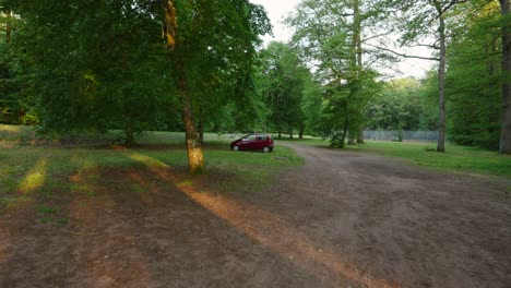 a small red hatchback car parked under a large tree on a quiet nature reserve