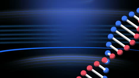 animación de una cadena de adn girando con rastros de luz azul sobre fondo azul