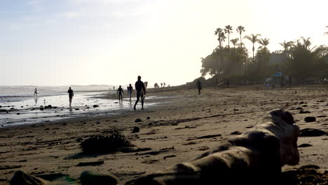 many surfers and people on vacation walking on a tropical island beach with palm trees in the scenic sunshine