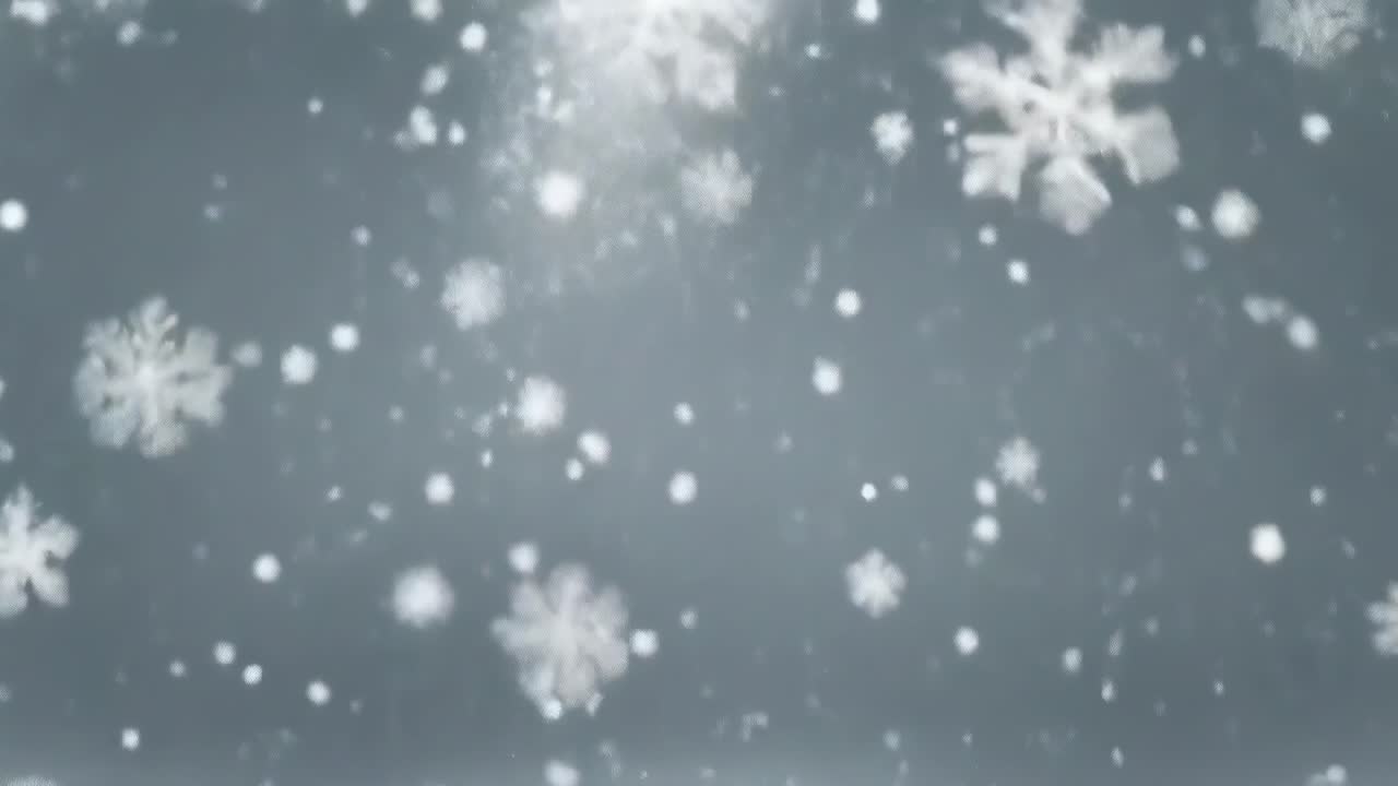 Video of snowflakes falling gently, captured from a straight-on angle, creating a serene winter