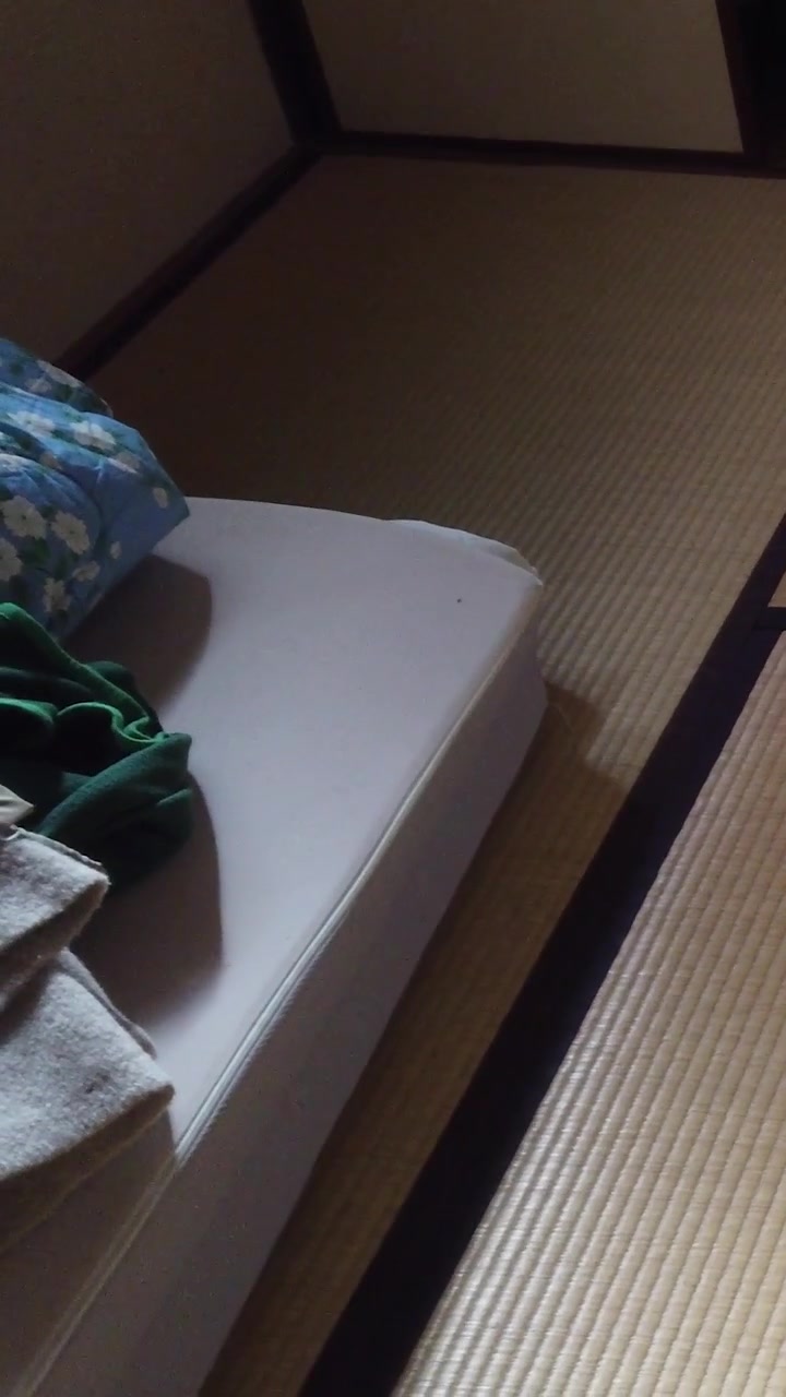 Traditional Japanese Ryokan House Interior Vertical Tatami Mat Floor Bed Room Minimal View