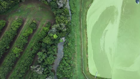 fruit tree orchard growing next to a wastewater treatment plant and sediment ponds