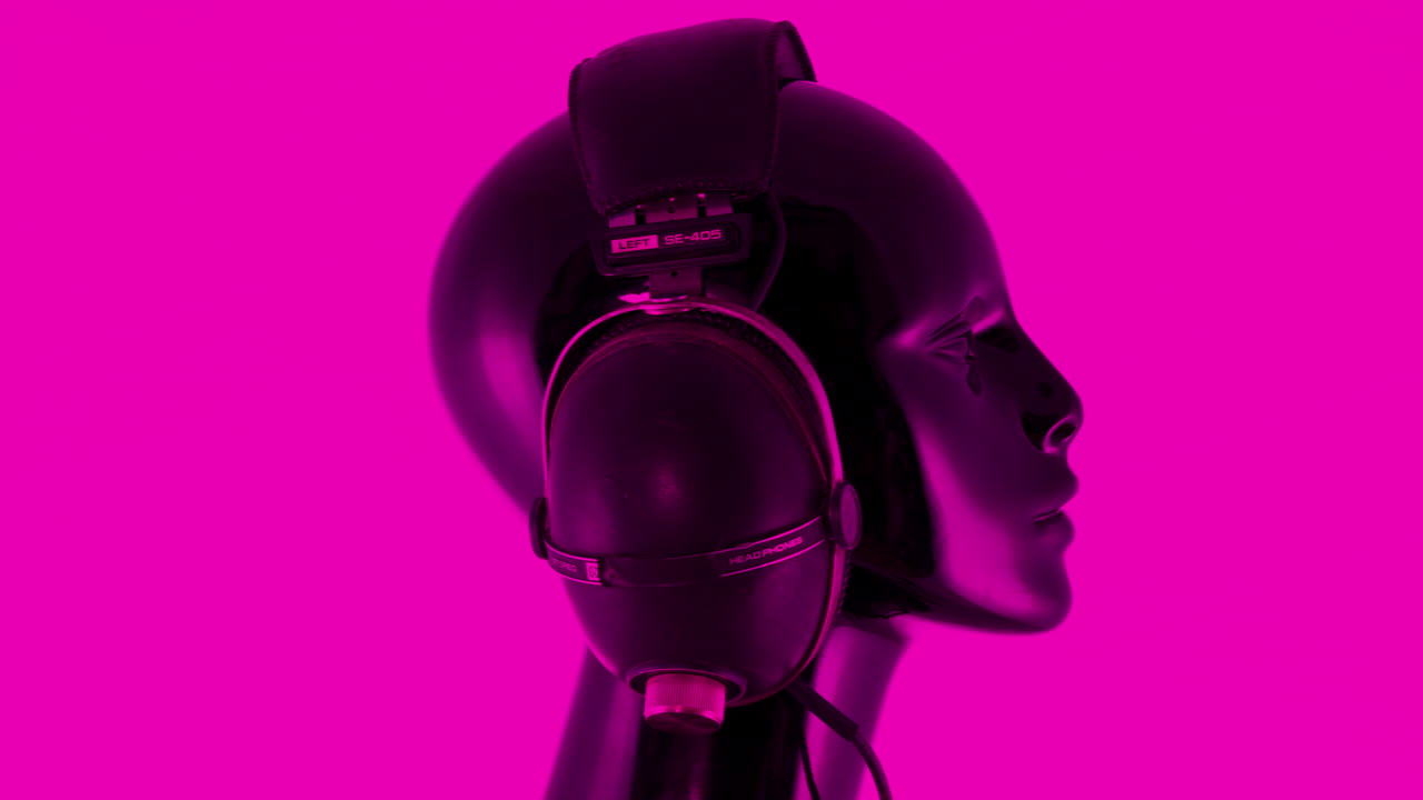 giro de cabeza negra 4k 02