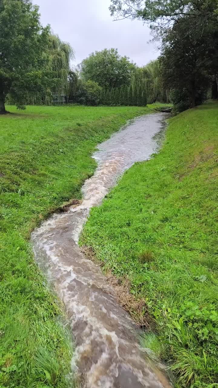 Vertical view of swollen forest stream after heavy rain with fast muddy water rushing through natural landscape, dramatic spring flooding and raw power of nature