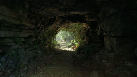 a dark cave entrance leading to a lush jungle