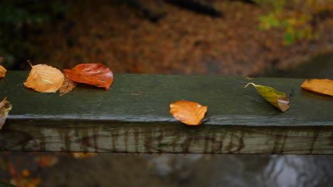 autumn leafs on the bridge rails