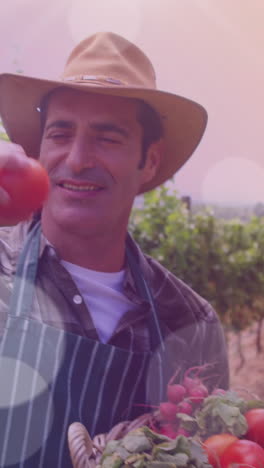 animación de puntos de luz sobre un feliz agricultor caucásico con tomates
