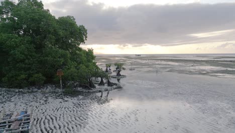 Walakiri-Beach-Sumba-Island-East-Indonesia-6