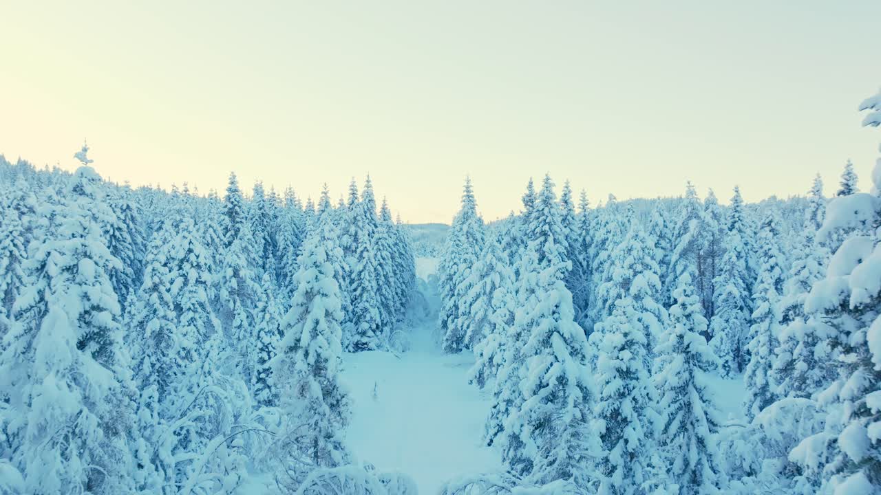 Flying Through Snow Covered Forest During Winter In Norway - Drone Shot