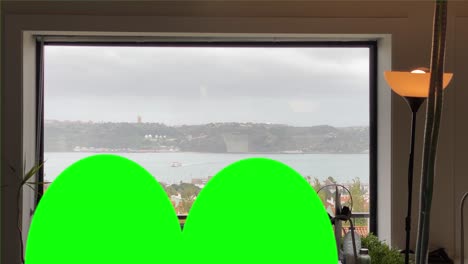 Young-green-man-from-window-with-river-background-with-some-boat