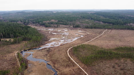 Ruta-De-Senderismo-Vanga-Mosse-Boardwalk,-Vastra-Gotlanad,-Suecia,-Toma-Aérea-De-Establecimiento