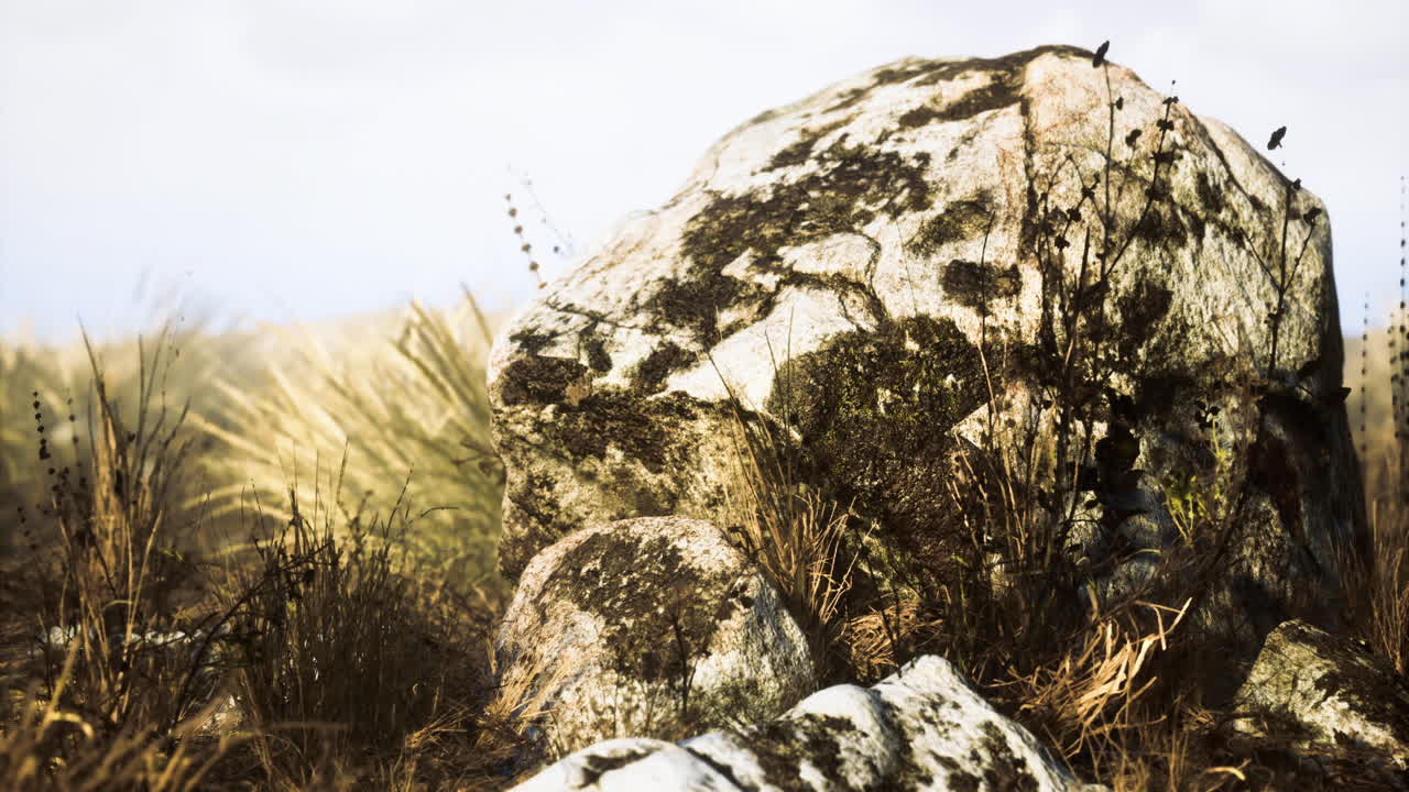 Natural rock formation in a grassy landscape under clear sky during day