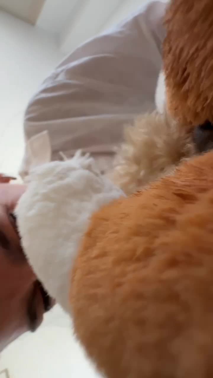 Woman comforting a small dog with a teddy bear