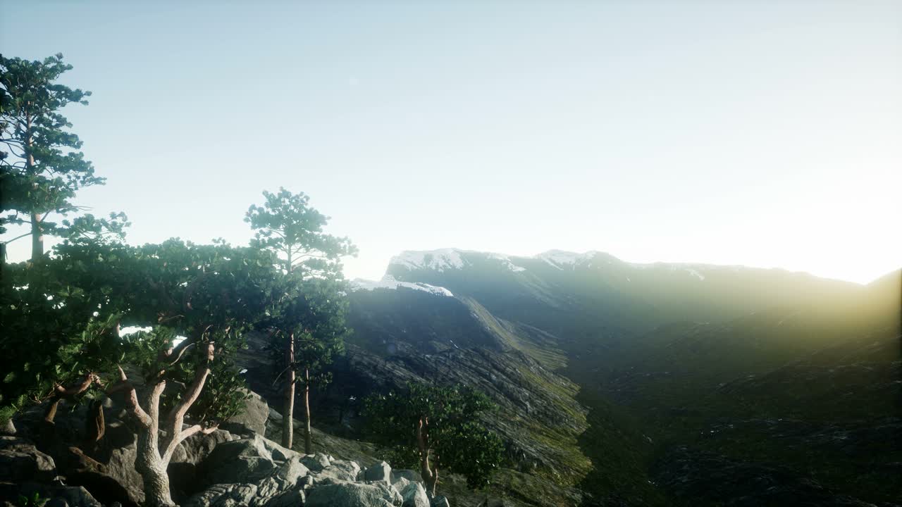 rayos de sol a través de los árboles