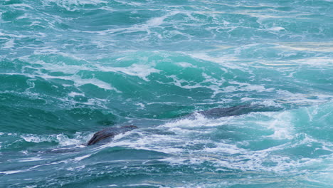 olas del mar rompiendo en la roca submarina creando cresta