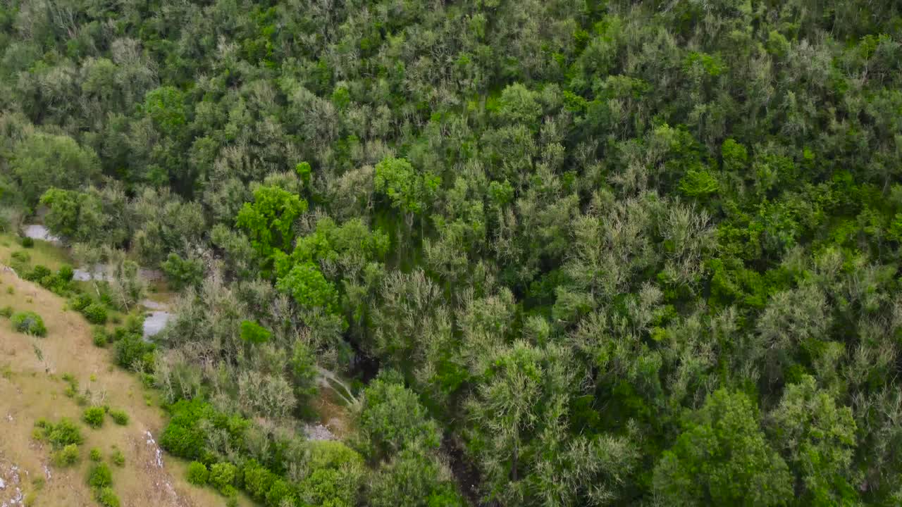 vista aérea mirando hacia abajo sobre el exuberante valle rural boscoso del distrito de los picos mientras el pájaro vuela a través del bosque