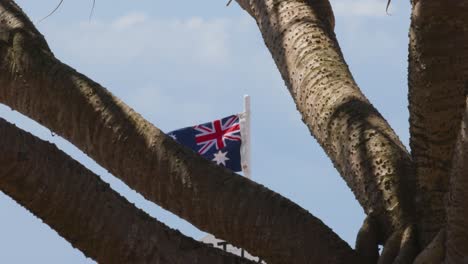 australian flag waving behind tree branches