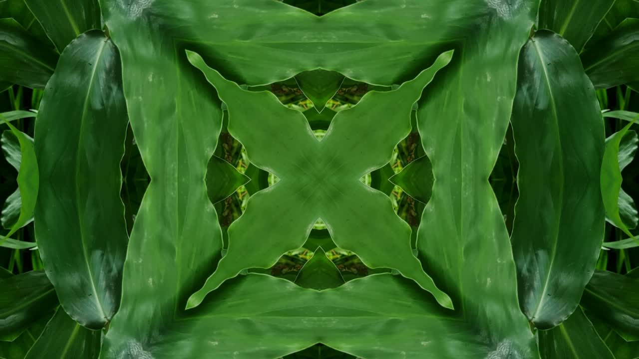 калейдоскоп