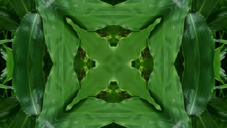 Kaleidoscope