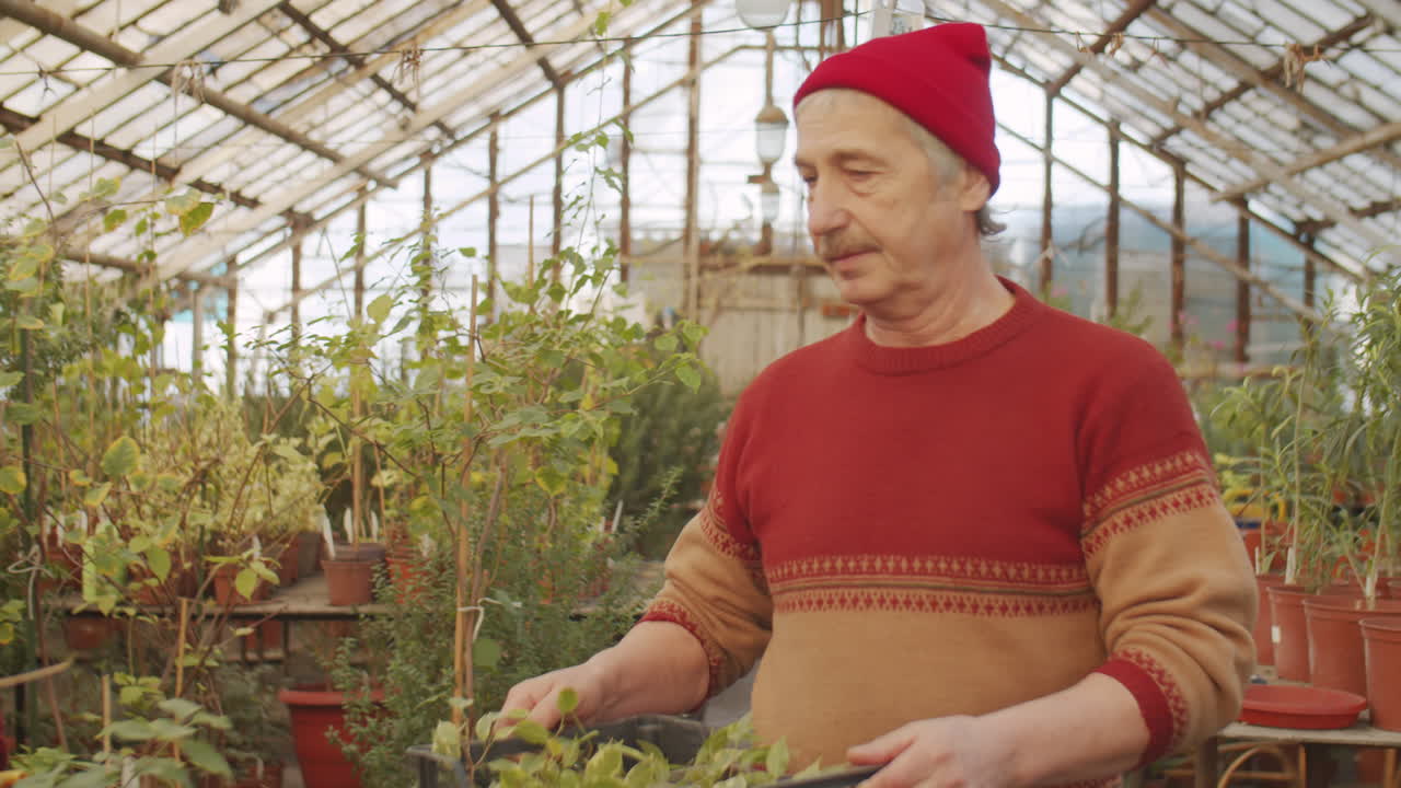 꽃 농장에서 젊은 여성과 함께 일하는 노인