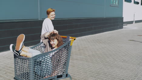 friends having fun in a shopping cart