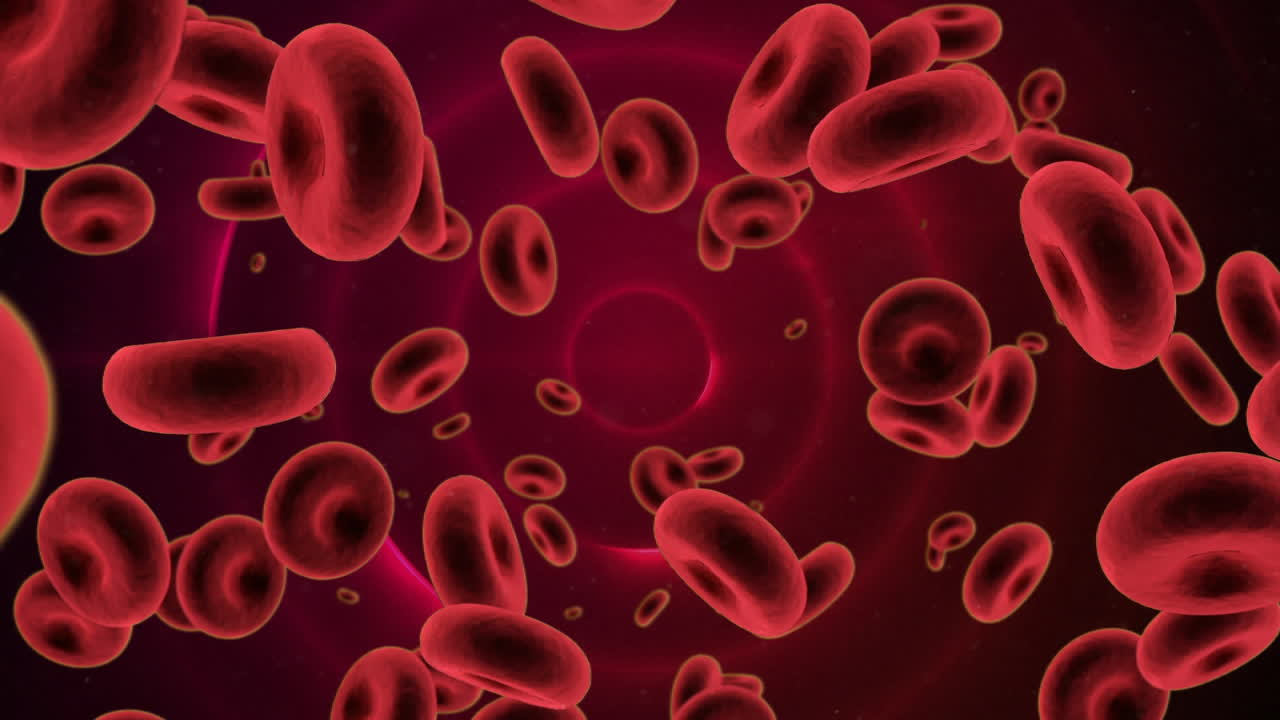 las células rojas de la sangre