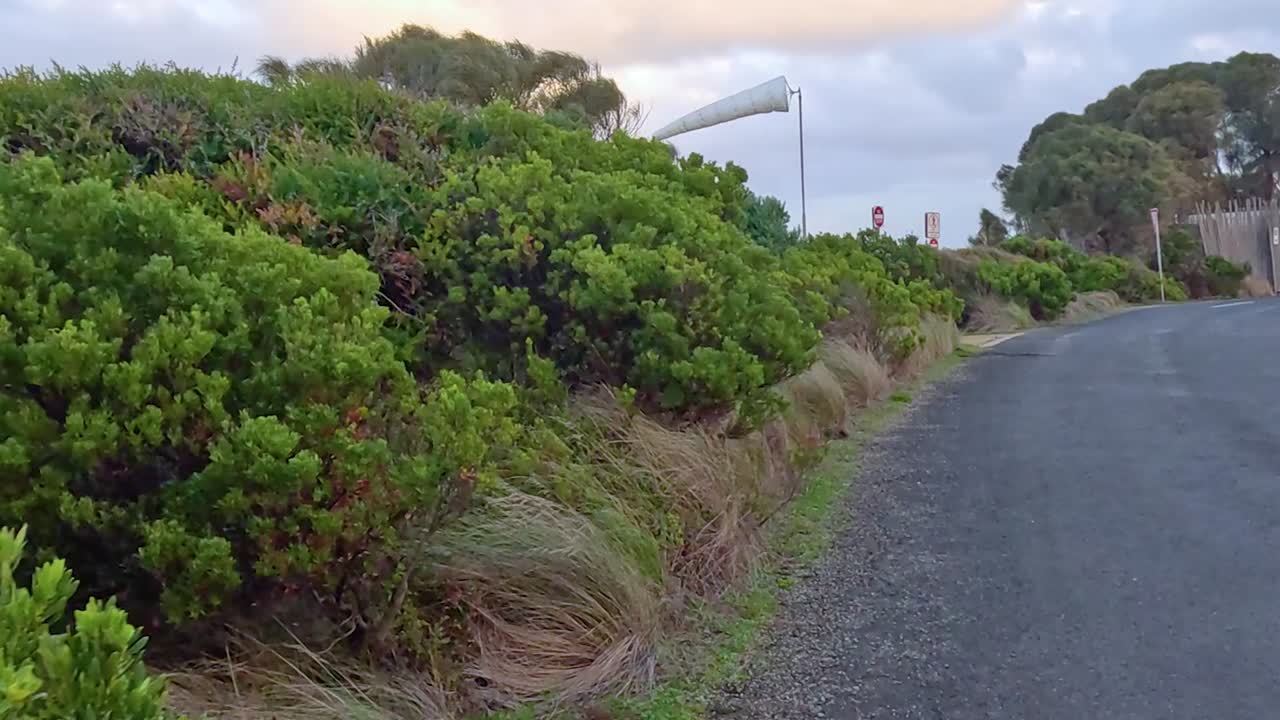 A peaceful road lined with dense green bushes and trees under a cloudy sky, showcasing natural tranquility.