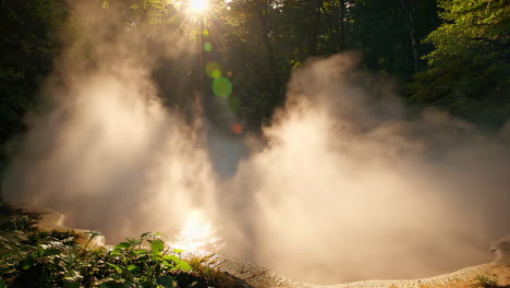 misty hot spring in the woods