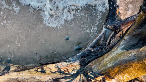 slow motion footage of water of ocean crashing against wooden trunk and bounce off