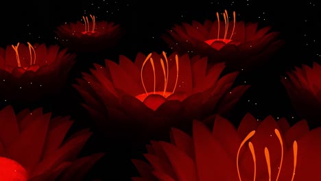 glowing red lotus flowers in the dark