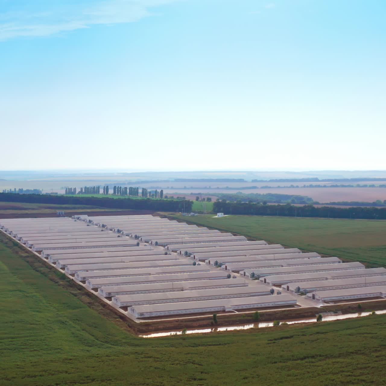 White long barns built in two plain rows at modern farm. Agribusiness for eco products manufacturing. Farmland at backdrop. Aerial view