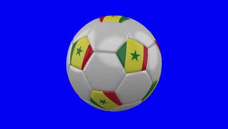 pelota de fútbol con bandera de senegal en fondo de clave de croma azul, bucle