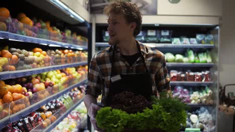 Happy-face-seller-man-in-supermarket-walking-by-vegetables-aisle-with-box-of-fresh-greens-to-arrange.-Caucasian-worker-in-local-supermarket