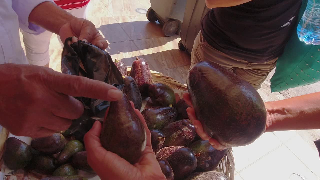Seller discusses avocado sizes to street market buyer in Nicaragua