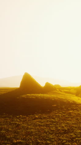 sunrise over a grassy field with a rock formation in the foreground