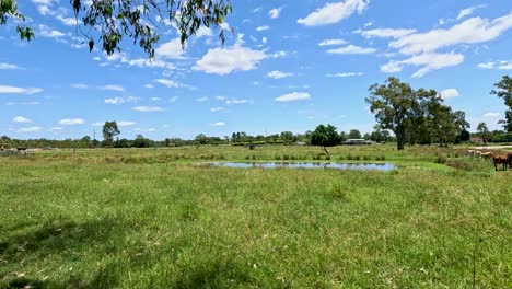 a serene farm landscape with a pond