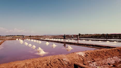 editorial. men manually harvesting salt on a sunny day in kampot, cambodia