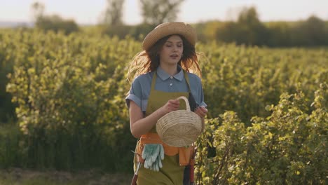 Young-beautiful-woman-in-work-uniform-walking-a-field-with-a-basket