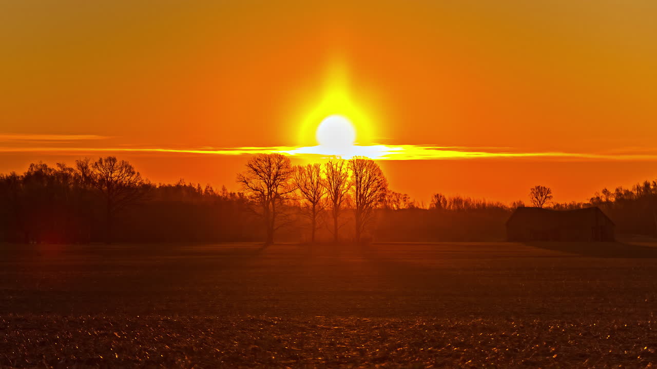 타임랩스에서 일출 동안 전경의 농지와 배경의 울창한 숲을 배경으로 촬영한 영화