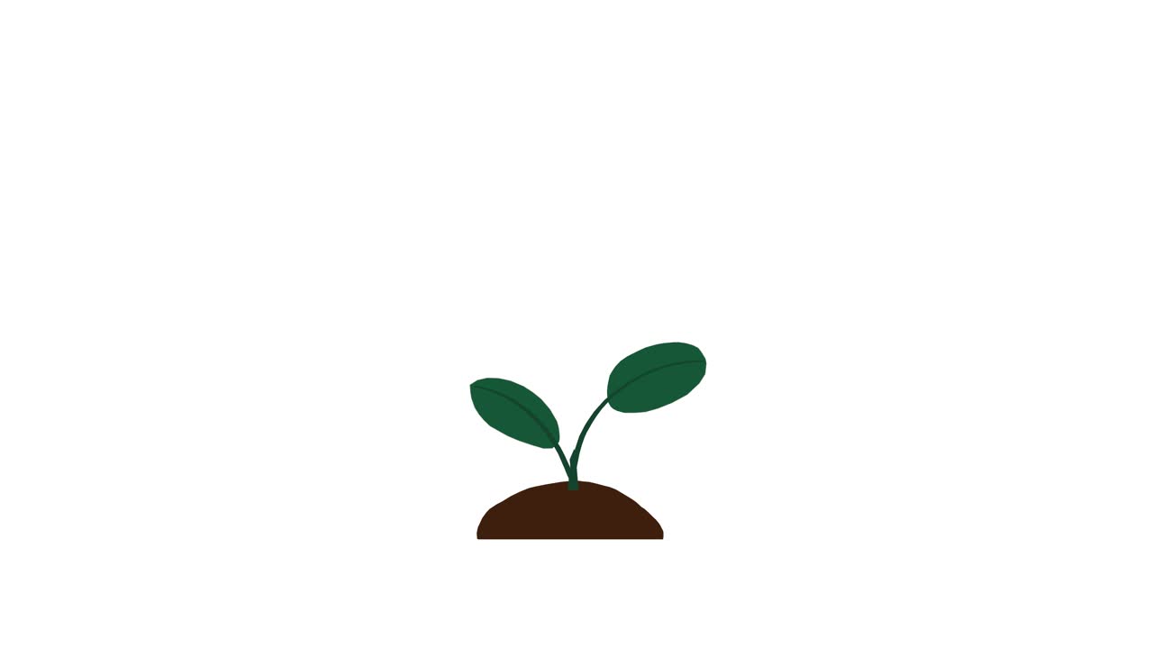 Plant with 2 leaves grows and germinates on dirt mound on white background