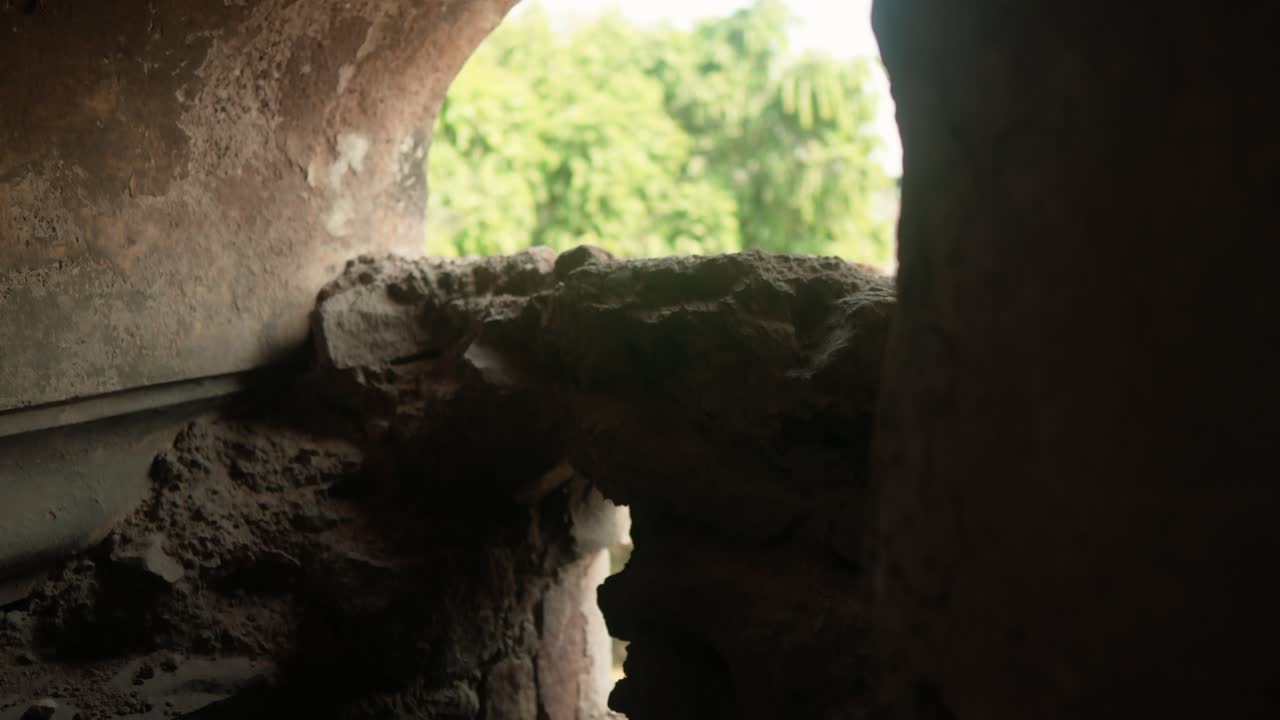 apertura de la cueva enmarcando un paisaje verde exuberante en enfoque suave, insinuando la exploración y el descubrimiento