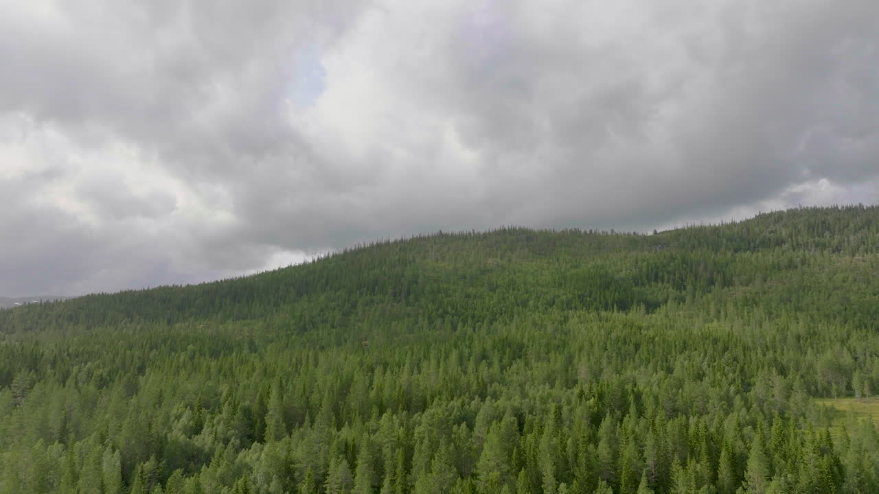 Forested Mountains With Spruce Trees Near Namsskogan, Northern Norway