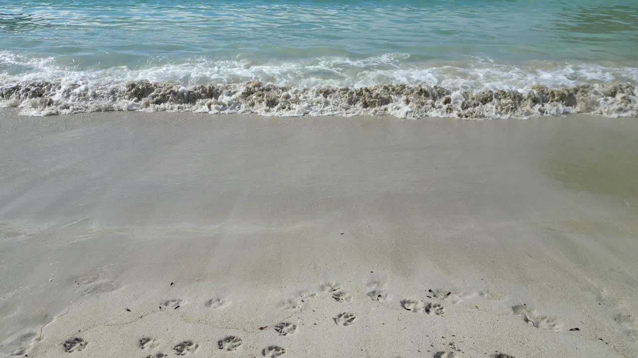 노르웨이, 스칸디나비아의 로포텐 제도에서 여름 동안의 호클랜드 해변 - 위로 기울어지는 것을 드러니다.