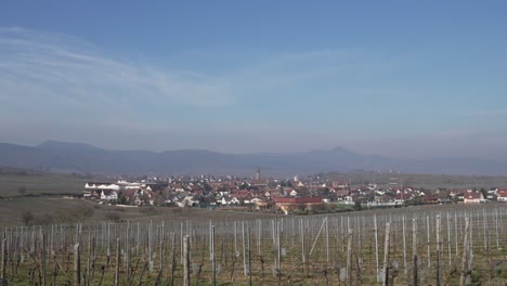 Scenic-medieval-french-village-"kaysersberg"-behind-huge-vineyard-fields